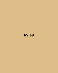 FS 38