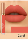 Matte Gloss
