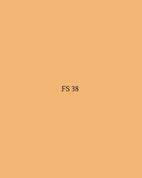 FS 38